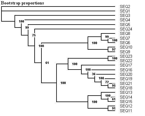 boot_tree