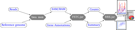 pipeline-rre-fig-tools.png