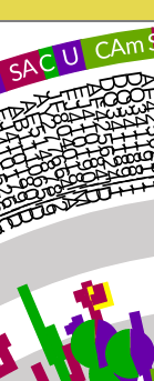 ap-leaf-highlighted-yellow.png