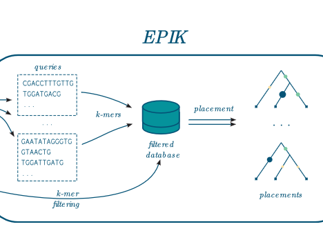 EPIK: Precise and scalable evolutionary placement with informative k-mers
